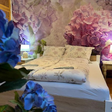 Tulipán Villa Panzió Szolnok Esterno foto