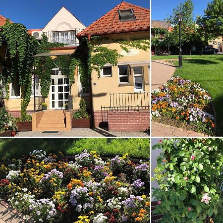 Tulipán Villa Panzió Szolnok Esterno foto