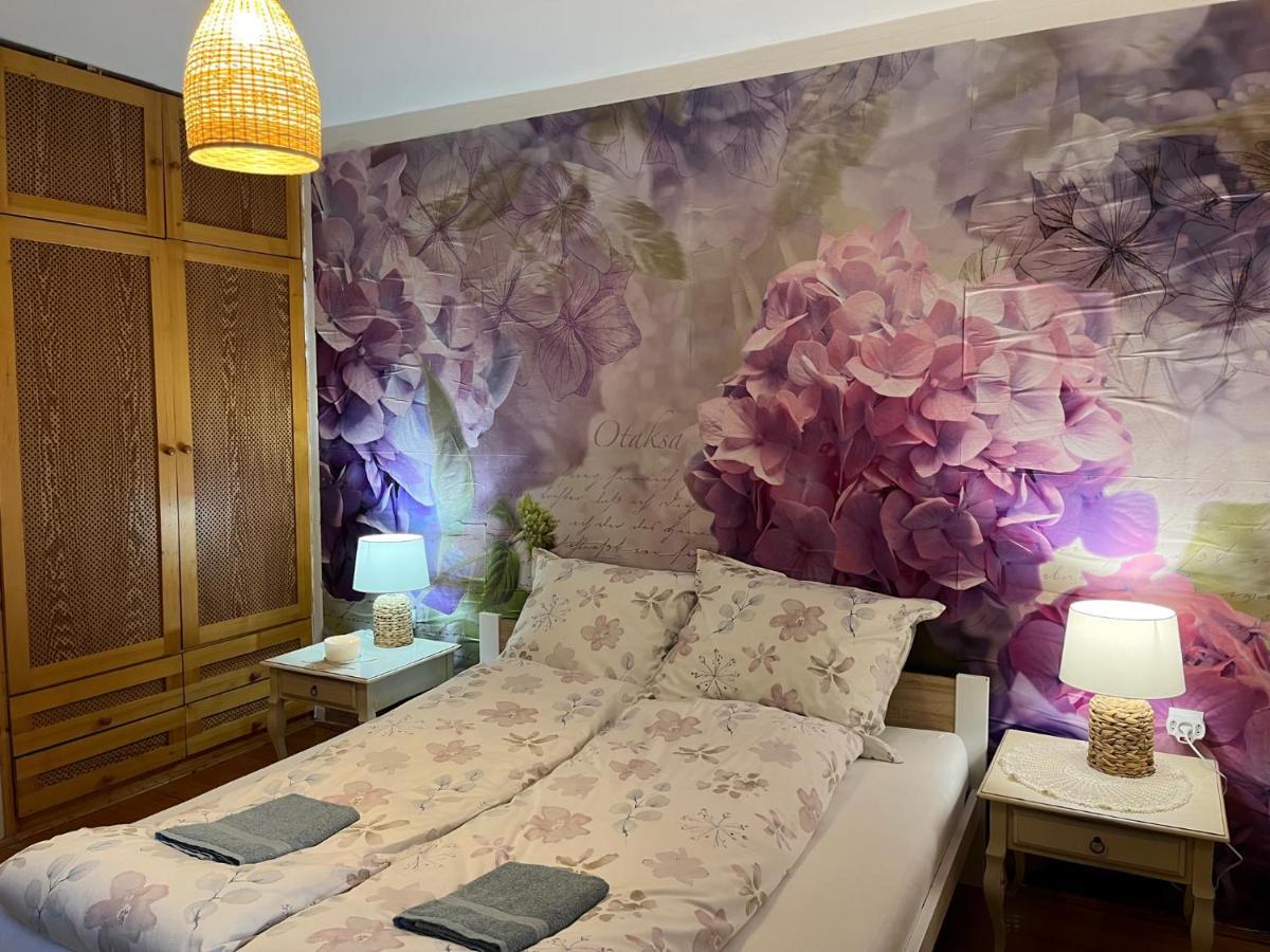 Tulipán Villa Panzió Szolnok Esterno foto