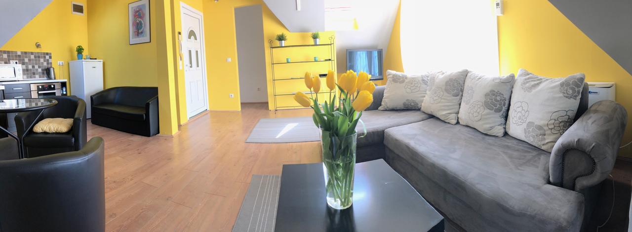 Tulipán Villa Panzió Szolnok Esterno foto